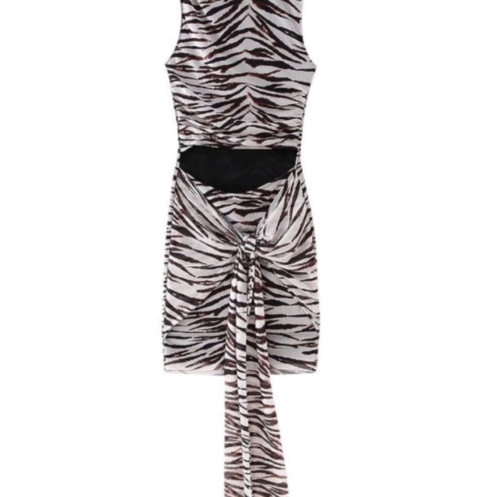 Zebra Print Sleeveless Dress